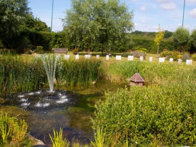 facebook_1770293969896_7425151079114083499